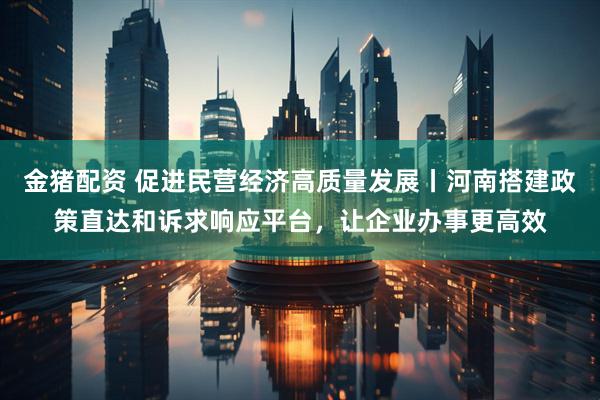 金猪配资 促进民营经济高质量发展丨河南搭建政策直达和诉求响应平台，让企业办事更高效