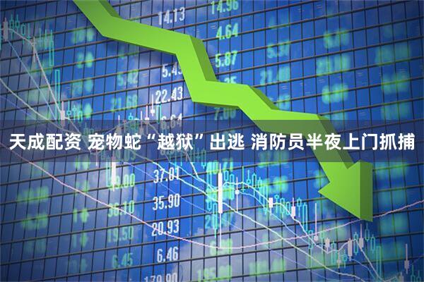 天成配资 宠物蛇“越狱”出逃 消防员半夜上门抓捕