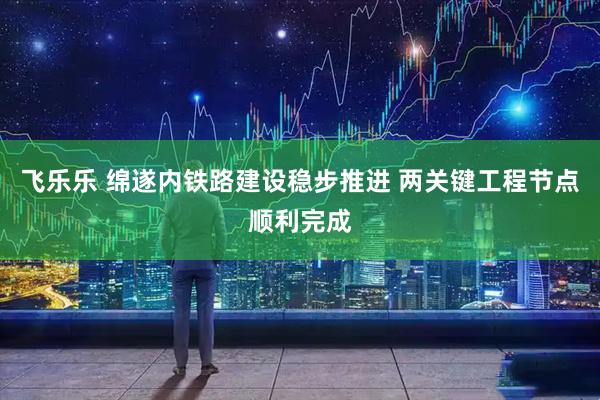飞乐乐 绵遂内铁路建设稳步推进 两关键工程节点顺利完成
