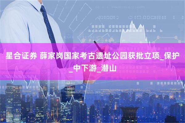 星合证券 薛家岗国家考古遗址公园获批立项_保护_中下游_潜山