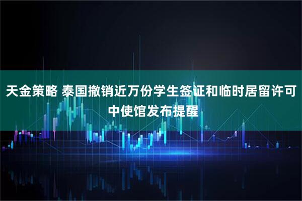 天金策略 泰国撤销近万份学生签证和临时居留许可 中使馆发布提醒