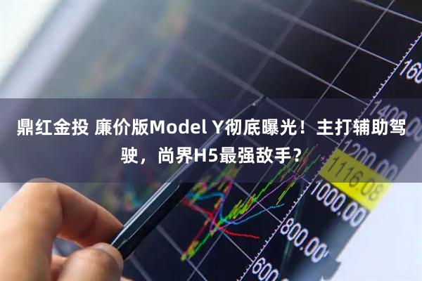 鼎红金投 廉价版Model Y彻底曝光！主打辅助驾驶，尚界H5最强敌手？